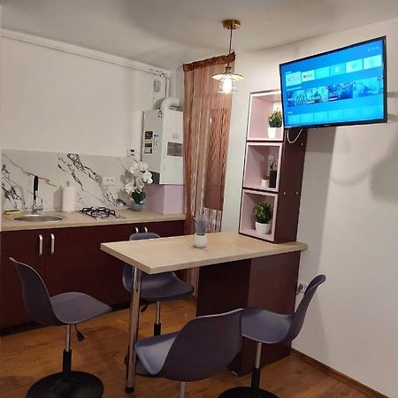Garsoniera Dania&Petru 1 Apartment Tirgu Ocna Bagian luar foto