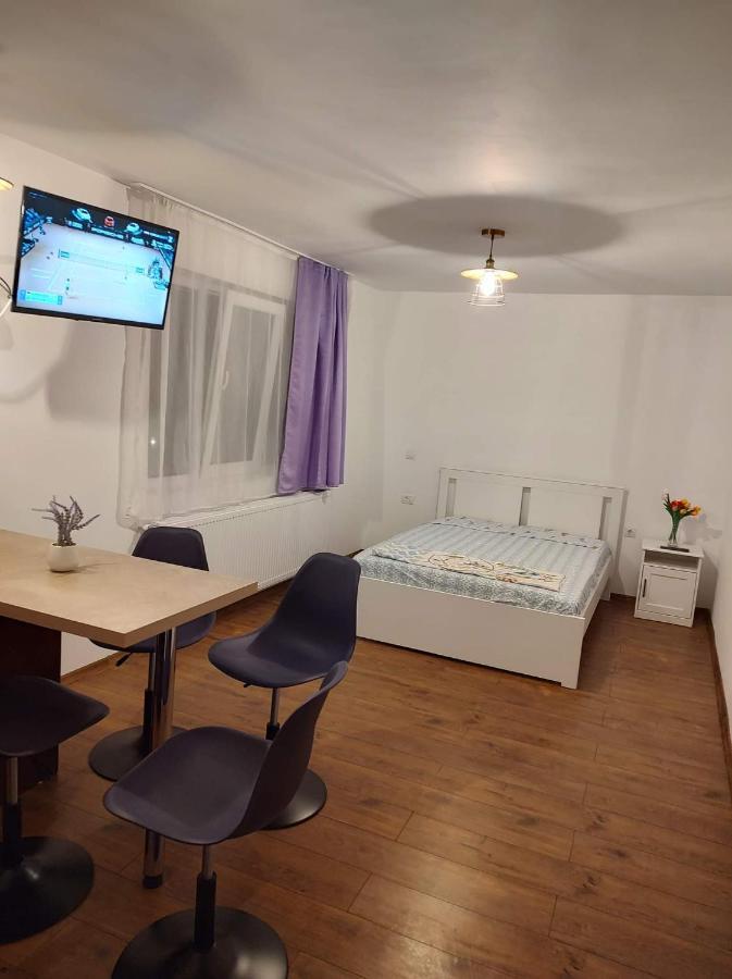 Garsoniera Dania&Petru 1 Apartment Tirgu Ocna Bagian luar foto