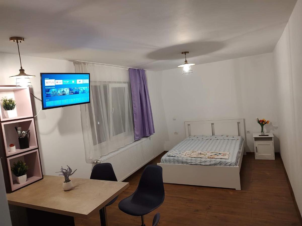 Garsoniera Dania&Petru 1 Apartment Tirgu Ocna Bagian luar foto
