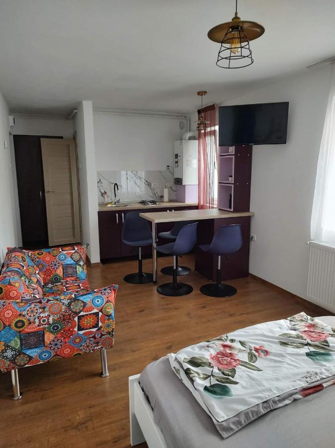 Garsoniera Dania&Petru 1 Apartment Tirgu Ocna Bagian luar foto